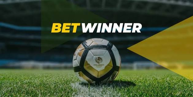 Exploring the BetWinner Platform Your One-Stop Betting Destination