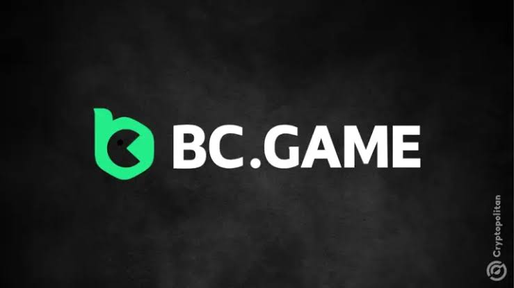 Understanding BC.Game Payment Methods